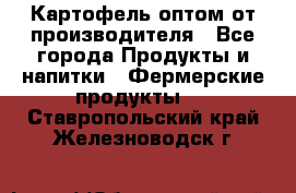 Картофель оптом от производителя - Все города Продукты и напитки » Фермерские продукты   . Ставропольский край,Железноводск г.